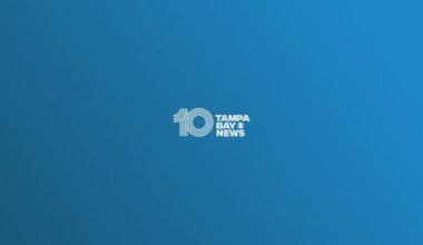 10 Tampa Bay News at 8:00 am