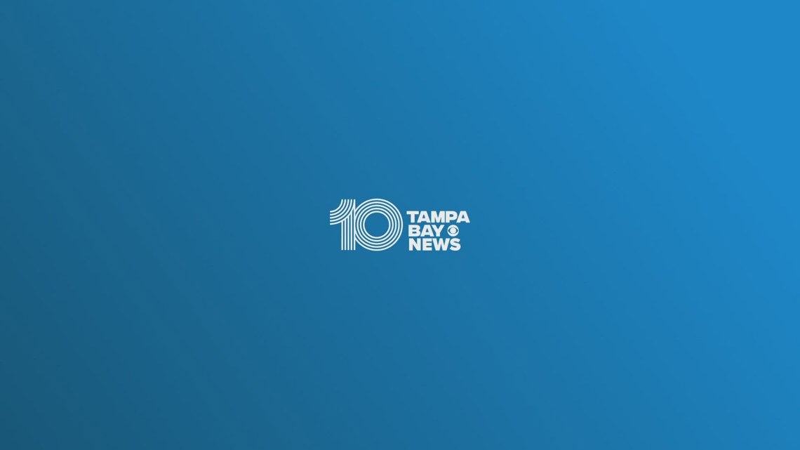 10 Tampa Bay News at 8:00 am