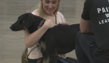 167 pets find new homes on first day of Mega Adoption event at Prime Osborn