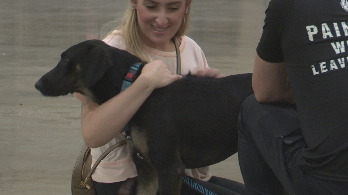 167 pets find new homes on first day of Mega Adoption event at Prime Osborn