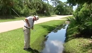  Florida mosquito control officials raise concerns over property tax reforms