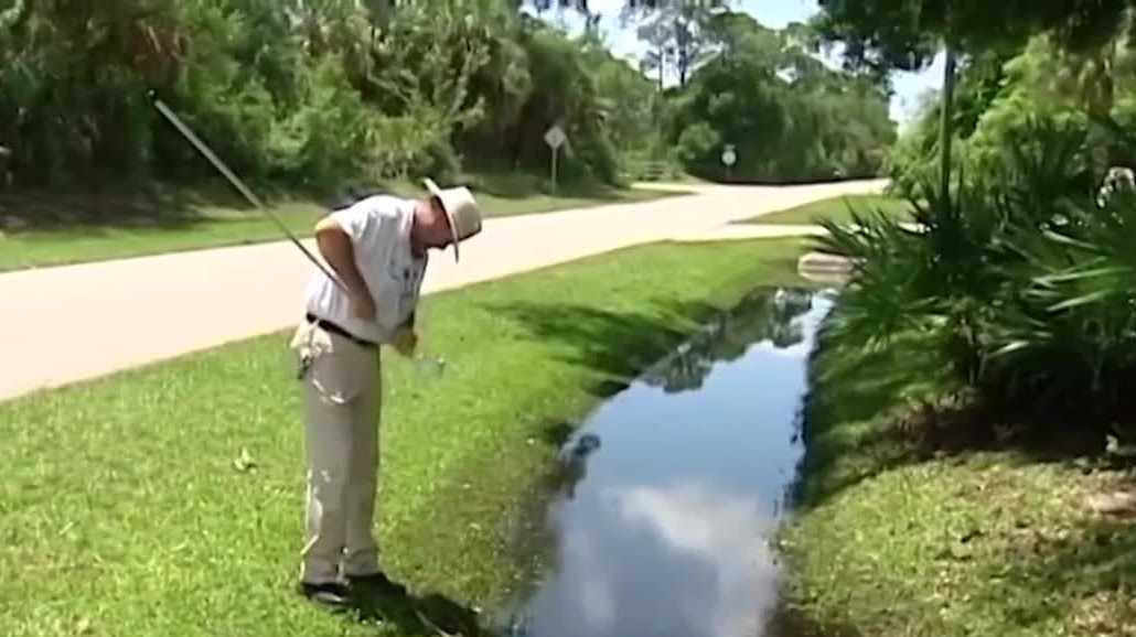  Florida mosquito control officials raise concerns over property tax reforms