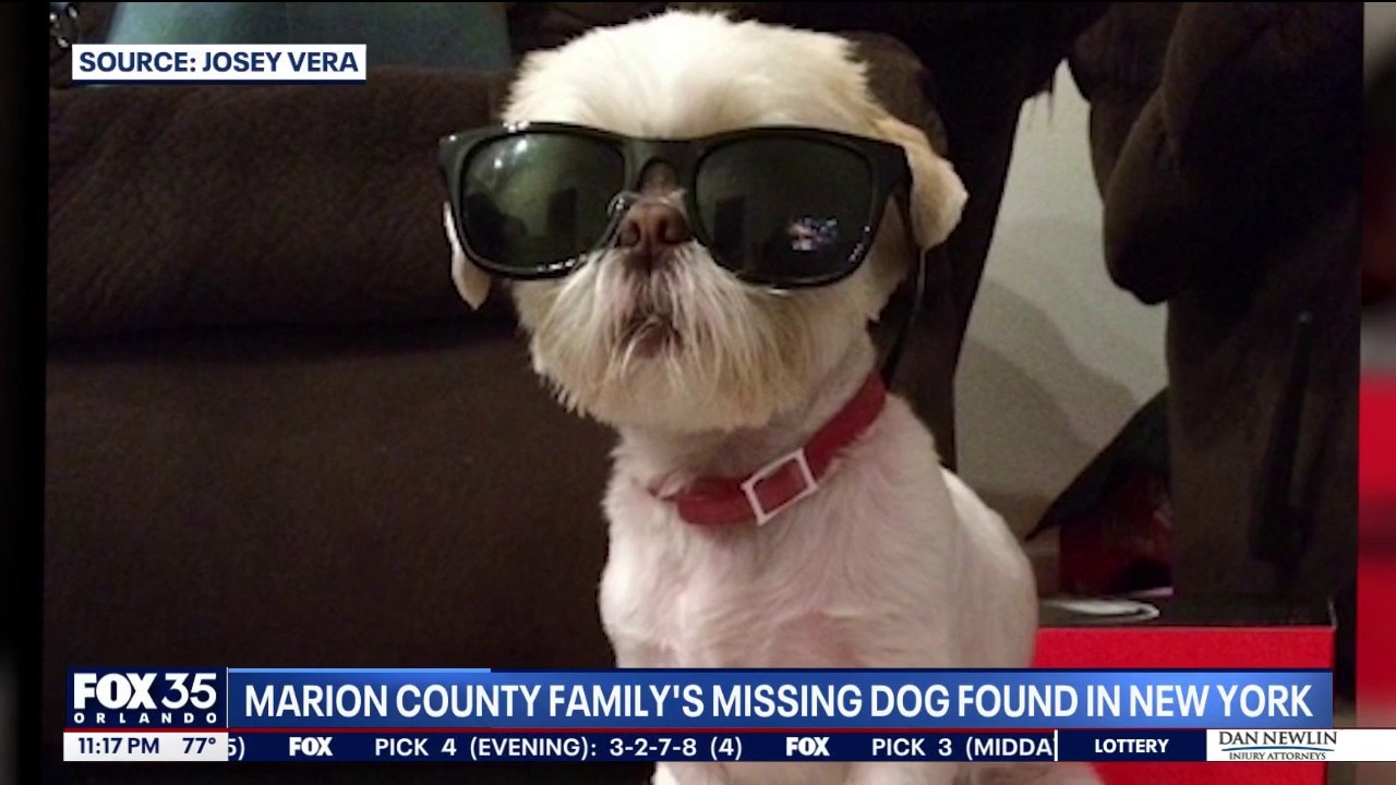Florida family reunites with missing dog found in New York