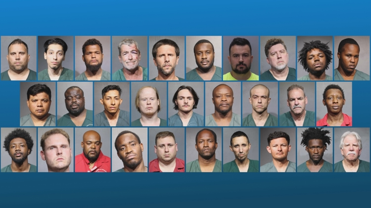 Jacksonville sheriff announces 29 arrests in child sex crime sting operation