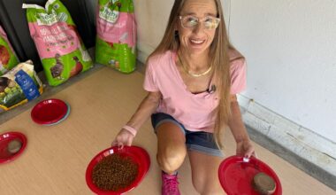 Everyday Hero Amanda Lirot is known in her neighborhood for taking care of animals in need, including feral cats and ducks at a nearby pond. (Spectrum News)