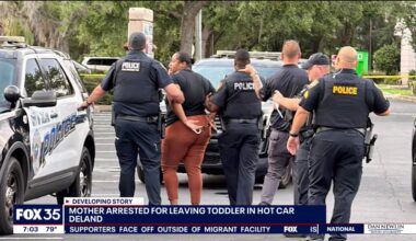 Police: Child left in hot car for hours; mom arrested