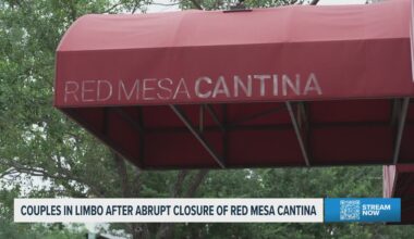 Tampa Bay couples scramble to find new wedding venues after Red Mesa Cantina closure