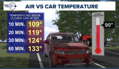 '100% preventable' | Brutal heat prompts reminders about preventing child hot car deaths