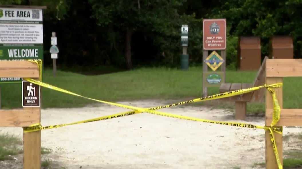 Woman dies after alligator attack at Florida park