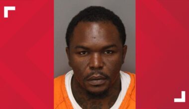 St. Pete man punched woman in the face, repeatedly hit dog with shovel: Police