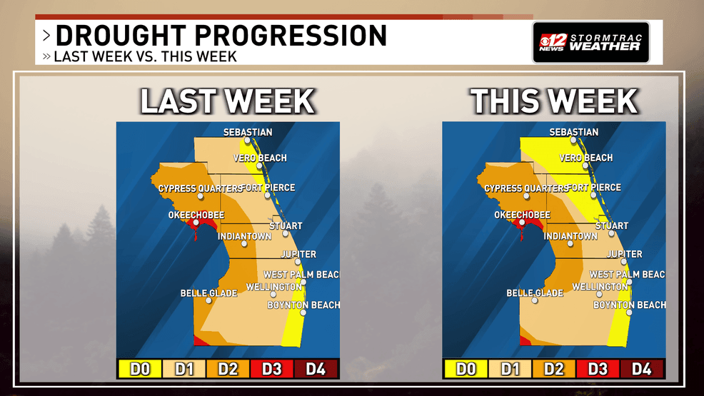 South Florida sees gradual drought improvement, but long-term concerns remain. (WPEC)