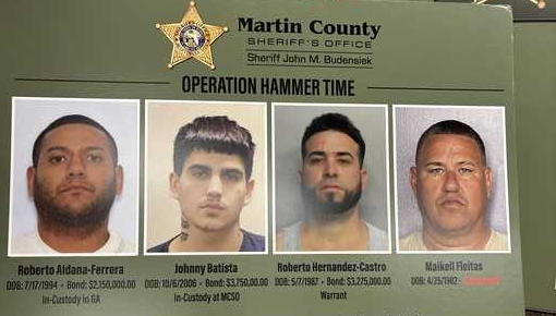 'This is a big dent': Four suspects accused in Florida retail theft ring targeting hardware stores