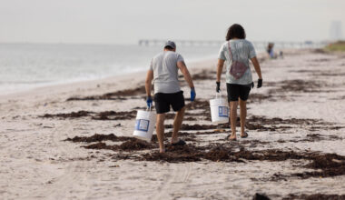 Florida Climate Week belongs to you 
