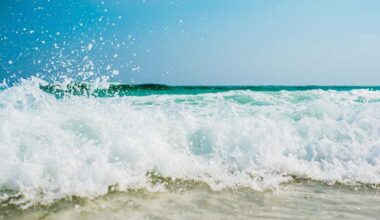 Fun things to do in South Florida