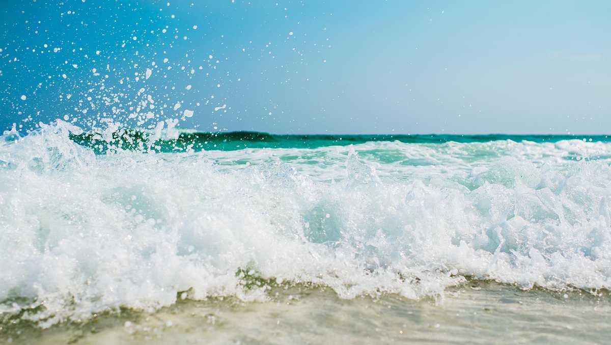 Fun things to do in South Florida