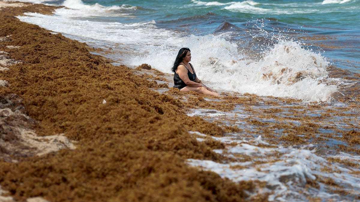 Belkis Perea sitting on the beach among brown seaweed in Miami Beach Florida