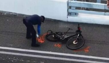 Driver arrested in fatal hit-and-run: Fort Lauderdale police