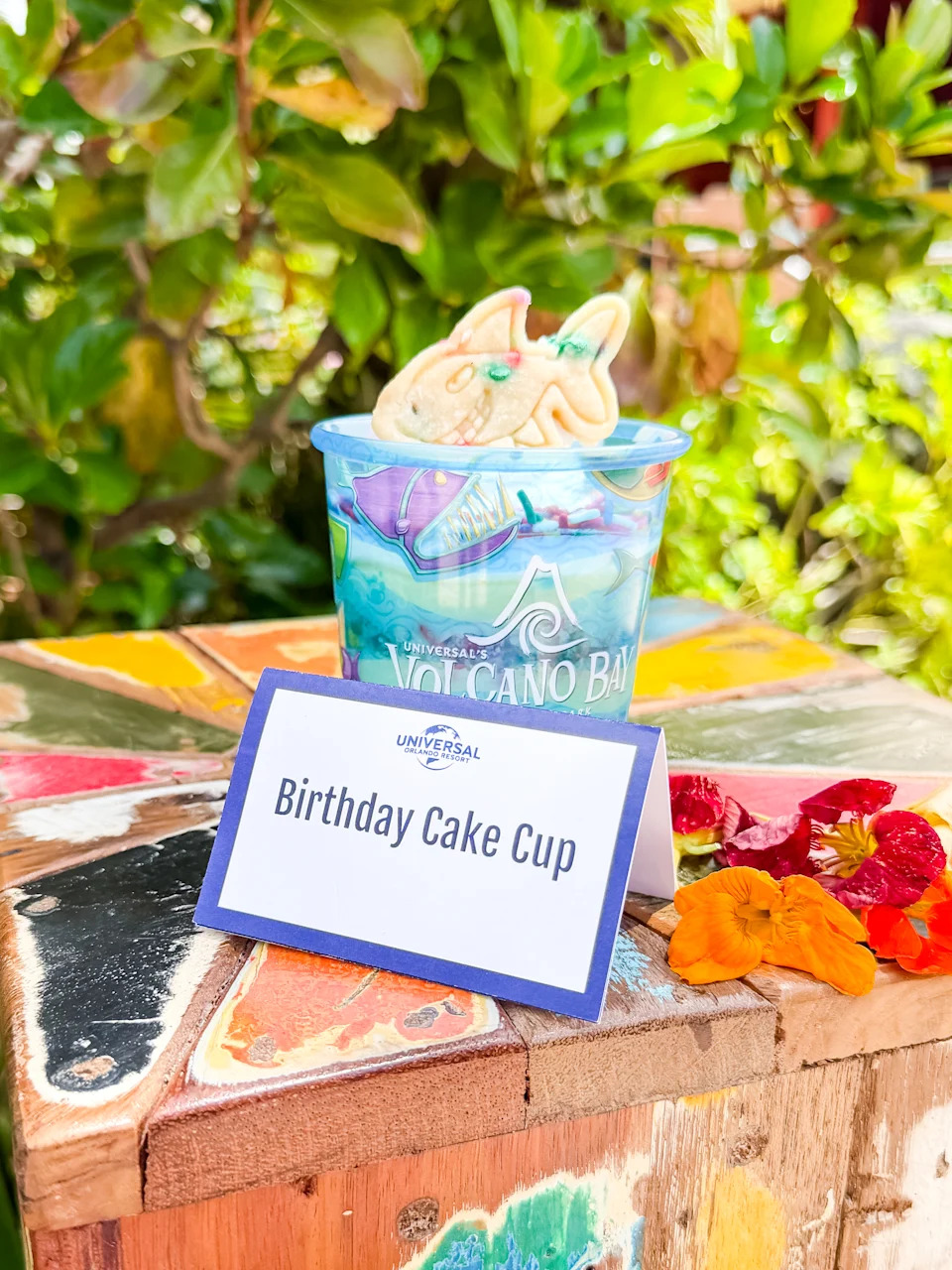 Birthday Cake Cup