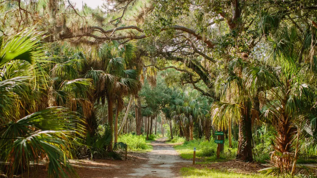 A nature trail during the day