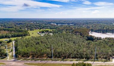 Aerial view of a wooded 24.5-acre site near North Dale Mabry Highway in Lutz where Apex Academy is proposed.