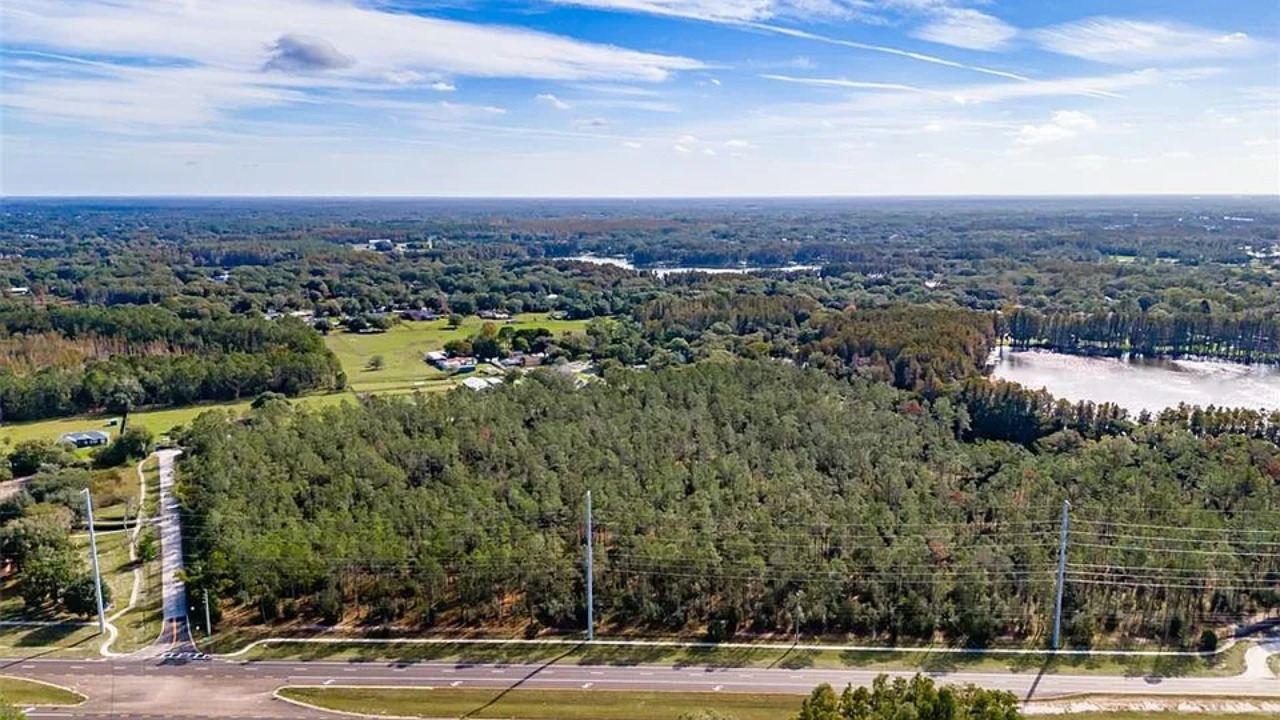 Aerial view of a wooded 24.5-acre site near North Dale Mabry Highway in Lutz where Apex Academy is proposed.