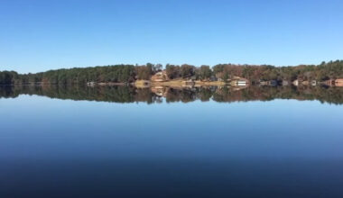 Teenager drowns in Lake Jacksonville while attempting to rescue 5-year-old child