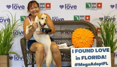Florida MEGA pet adoption event