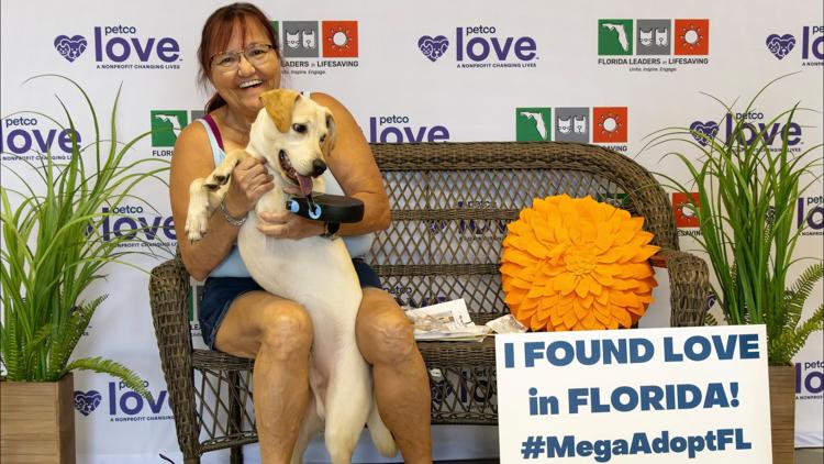 Florida MEGA pet adoption event