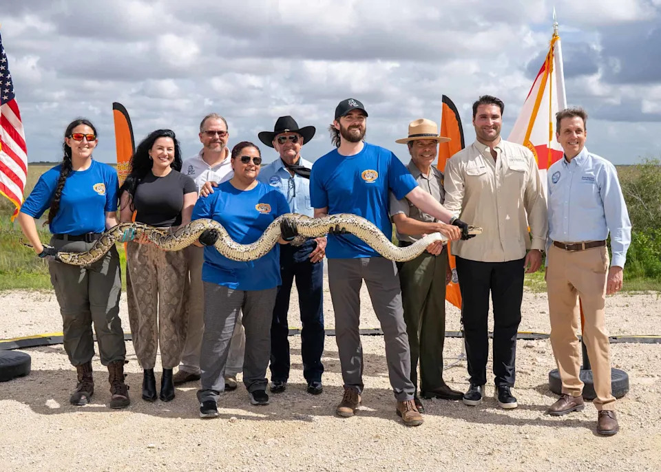 <p>Last year’s competition resulted in a record 294 invasive Burmese pythons removed from the Everglades.</p><p class="copyright">©Courtesy of the South Florida Water Management District – <a href="https://www.flickr.com/photos/sfwmd/albums/72177720333737382/" rel="nofollow noopener" target="_blank" data-ylk="slk:Original;elm:context_link;itc:0;sec:content-canvas" data-yga="{"yLinkElement":"context_link","yModuleName":"content-canvas","yLinkText":"Original"}" class="link ">Original</a></p>