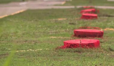 Cape Coral residents upset after city removed trees along Yucatan Parkway