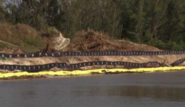 Stop-work order issued for Seven Islands project after unpermitted mangrove removal in Cape Coral