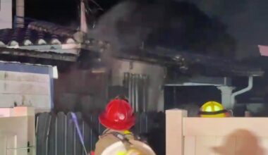 Fort Lauderdale tiki hut, home catch fire displacing 4 people, 3 dogs