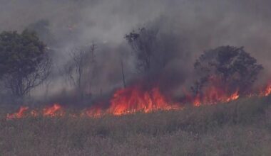 South Florida wildfires still burning but crews make progress in containment