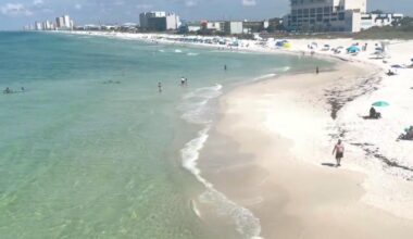 Shark attack off Florida coast leaves Navy base employee with critical injuries