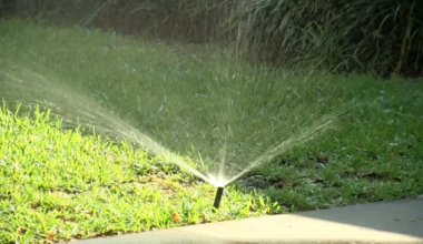 Tampa Bay water restrictions to continue amid ‘extreme’ drought