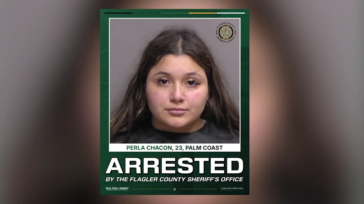 Florida Driver Nearly Hit Someone Head-On, Then Told Deputies Her Missing Bumper Was Already Like That
