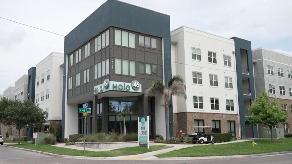 Deputies identify USF student found dead after allegedly stabbing 2 others