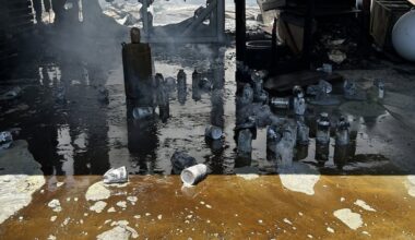 Family-owned bee farm burns to the ground after explosive fire in Florida