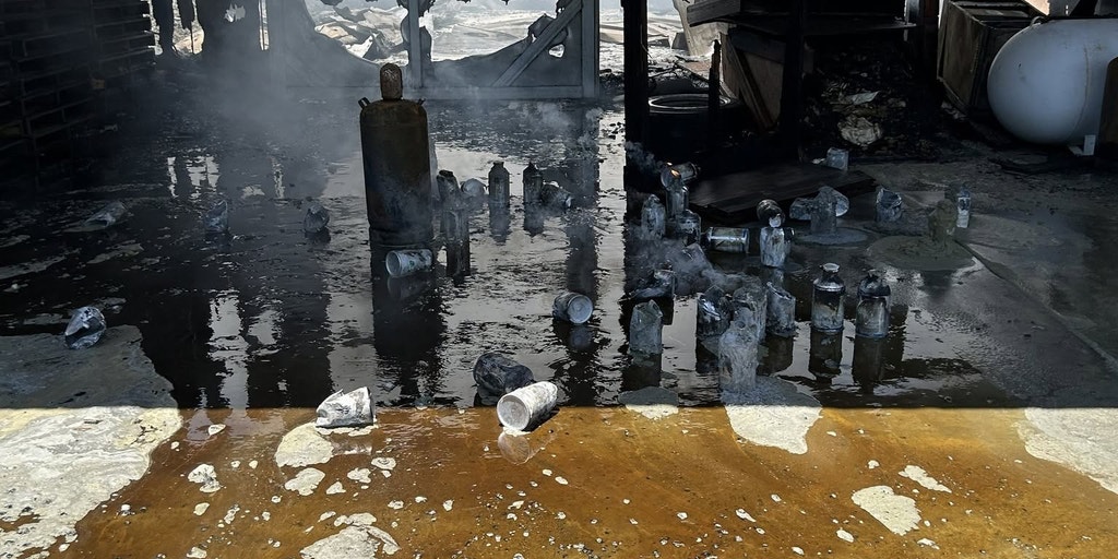 Family-owned bee farm burns to the ground after explosive fire in Florida