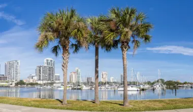 St. Petersburg, Florida to host food truck academy