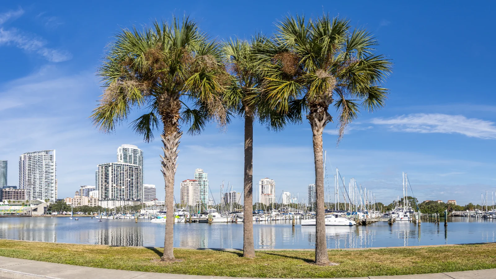 St. Petersburg, Florida to host food truck academy