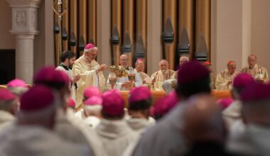Catholic Bishops consecrate USA to Sacred Heart of Jesus