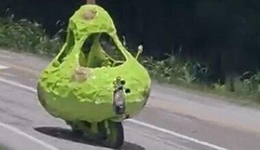 Meet the Florida Man Driving a Pear-Shaped Moped Across the United States