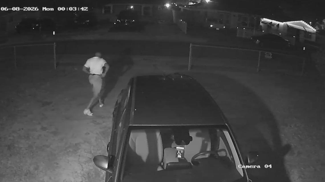 Suspect limps away after crashing stolen car into St. Pete home