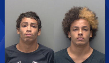 Two teens accused of theft at Cape Coral business