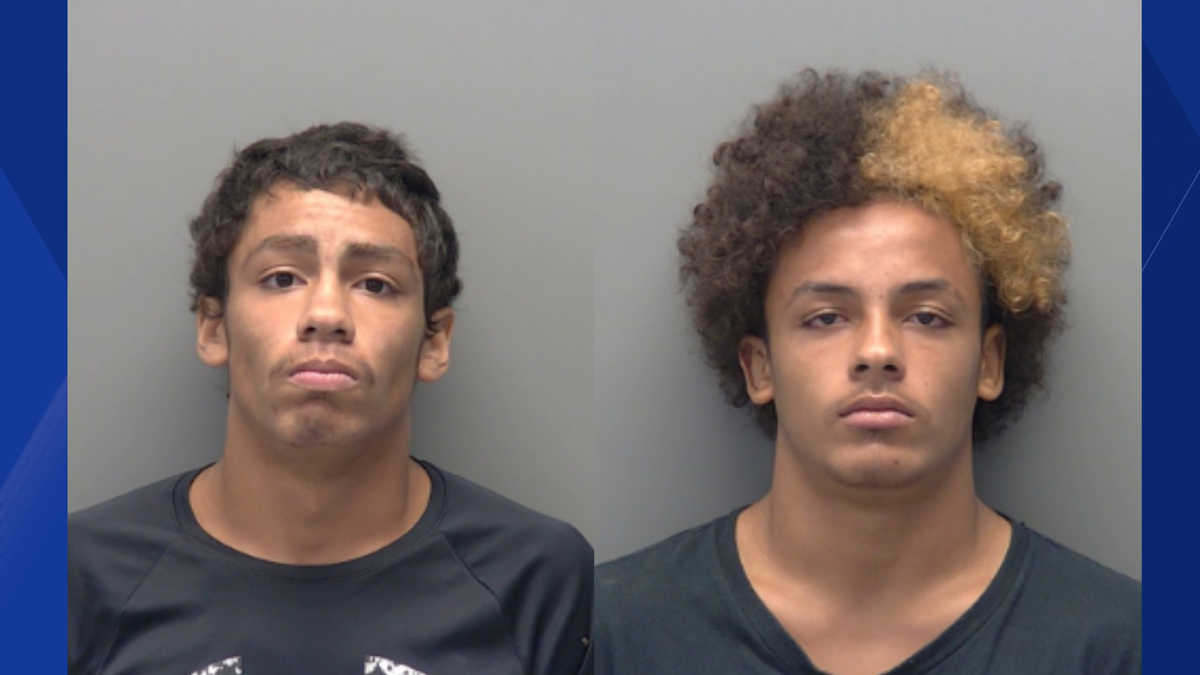 Two teens accused of theft at Cape Coral business
