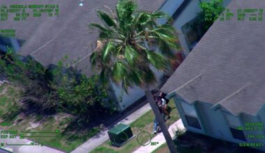 Florida Fugitive Grabs a Stranger and Uses Them as a Shield After Police Chase