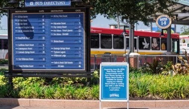 Disney Reveals Full Details on Disney Springs Transportation Verification Starting June 28