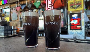 St. Pete's World Cup watch guide: Soccer hubs, family-friendly spots, dog-friendly bars and more