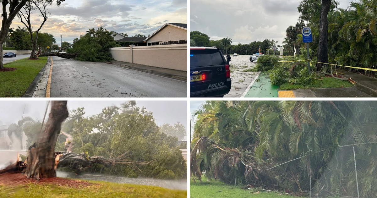 doral-storm-damage.png